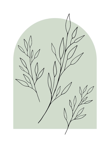 Leaf outline art on light sage green color background