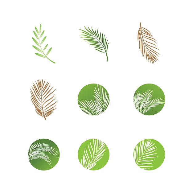 Leaf palm logo vector sjabloon symbool en ontwerp