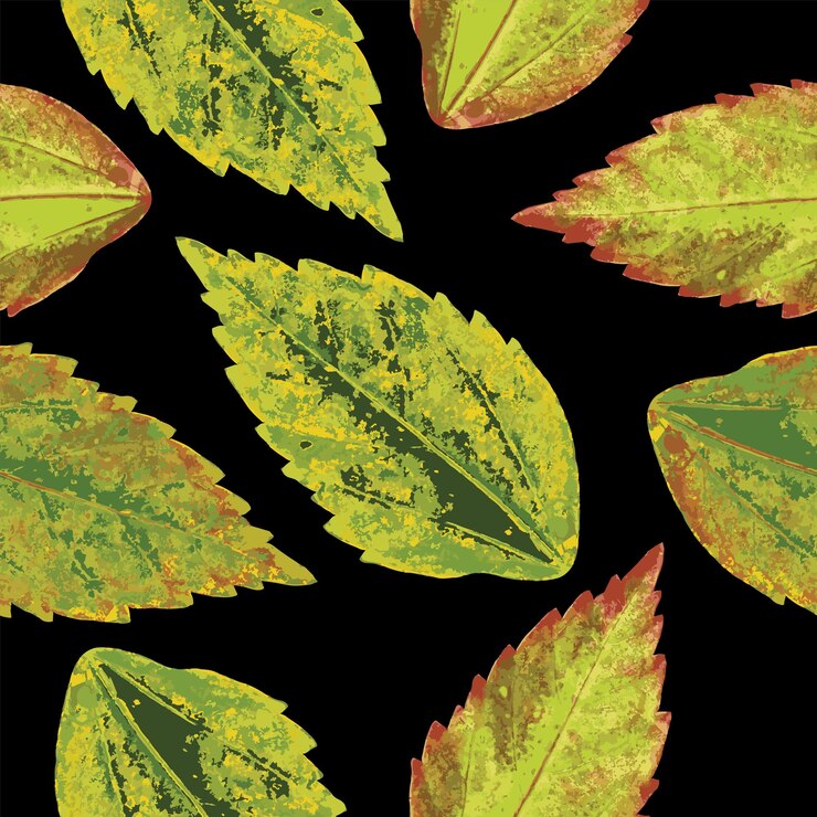 Vector leaf pattern leaf seamless pattren leaf vector leaf background