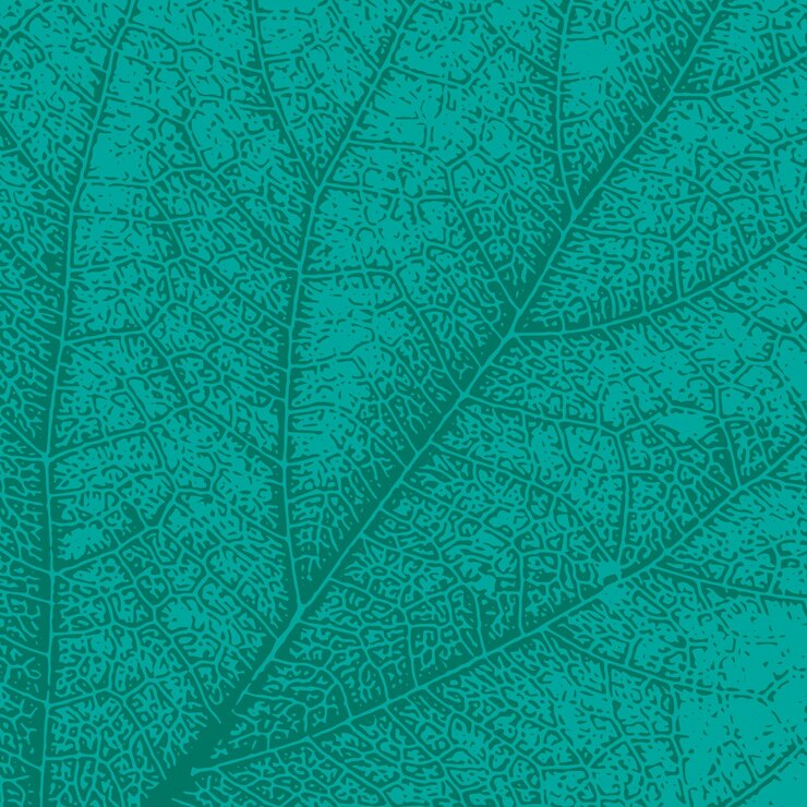 Leaf pattern Vector illustration for your design Eps 10