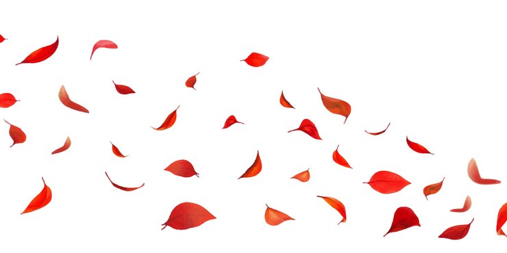 Vector leaf petals fluttering in the air on a white background