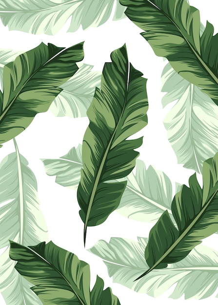 leaf plant green nature vector background illustration  design pattern flower tree leaves branch