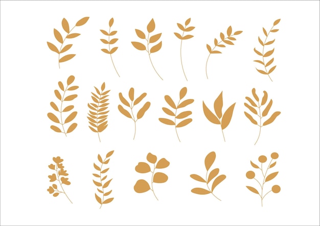 Vector leaf plants vector