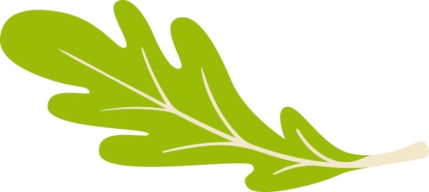 leaf salad greens edible plant