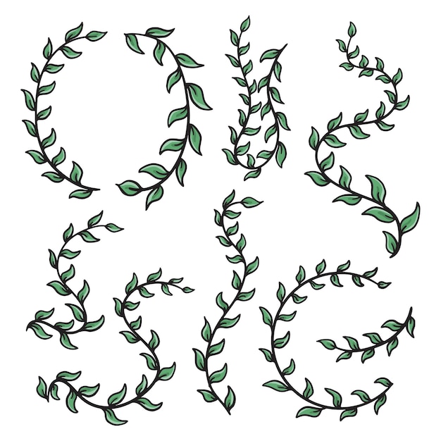 Leaf set flower and leaf illustration ornament elements