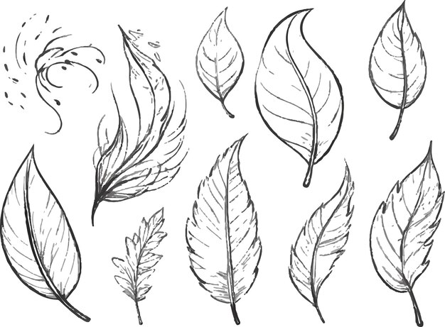 leaf sets vector art