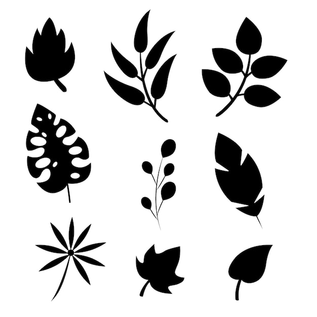 Vector leaf silhouette for design and decoration