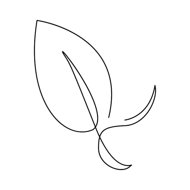 Vector leaf single continuous one line out line vector art drawing and tattoo design