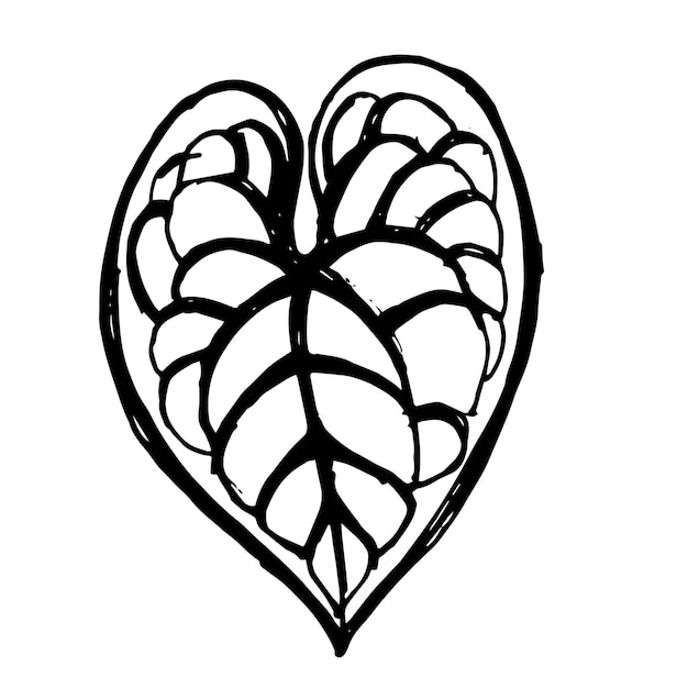 Leaf sketch black and white vector design