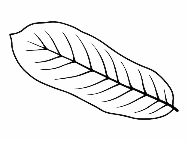 Leaf Sketch Line Art Illustratie