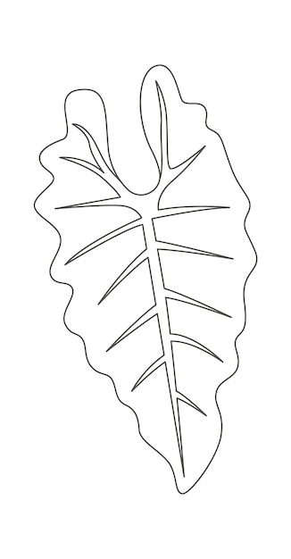 Leaf of tropical plant line art design element