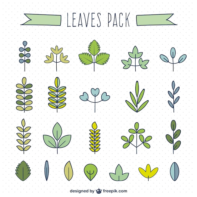 Leaf type collection