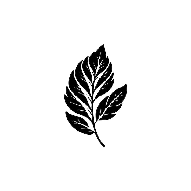 Leaf vector black white