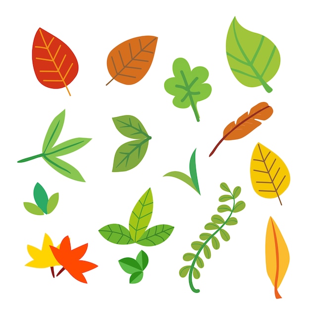 Vector leaf vector collection design