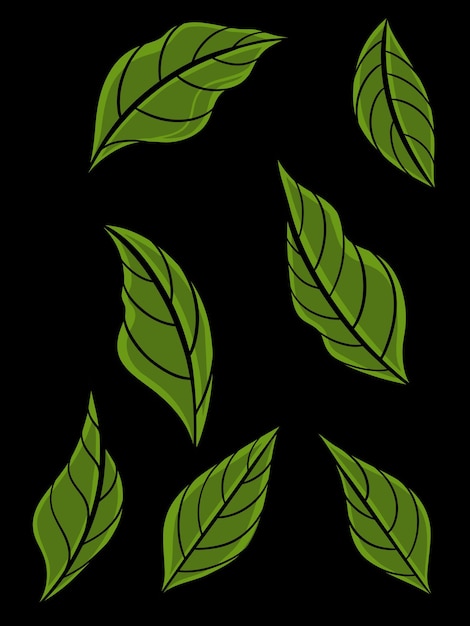 leaf vector design for elements editable colors