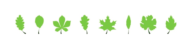 Leaf vector icon Groene bladeren verschillende bomen Leaf Vector illustratie