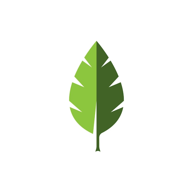 Leaf vector icon