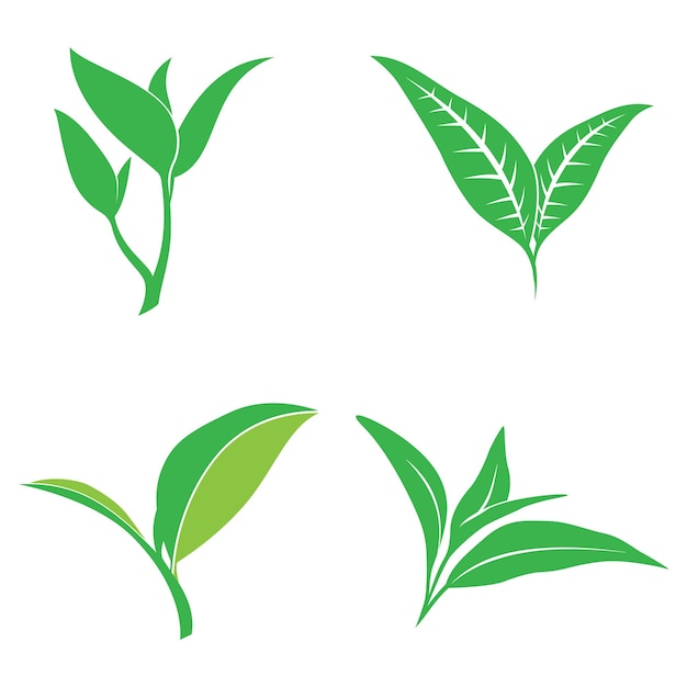 Логотип векторной иллюстрации листьев