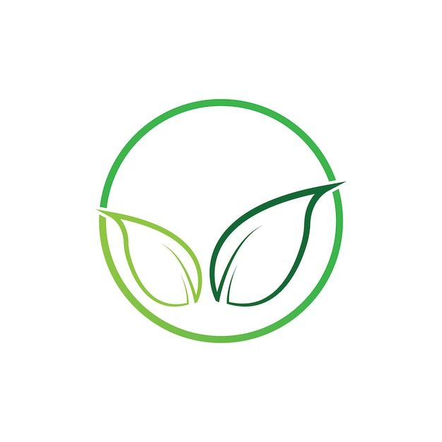Vector leaf vector logo design ecofriendly concept