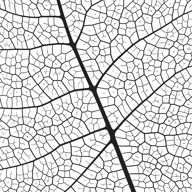 Vector leaf vein texture abstract background with close up plant leaf cells ornament texture pattern