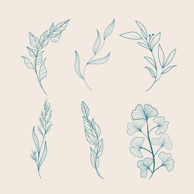 leaf and wild flowers drawing in vintage style