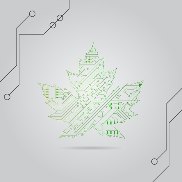 Leaf with circuit board Digital illustration