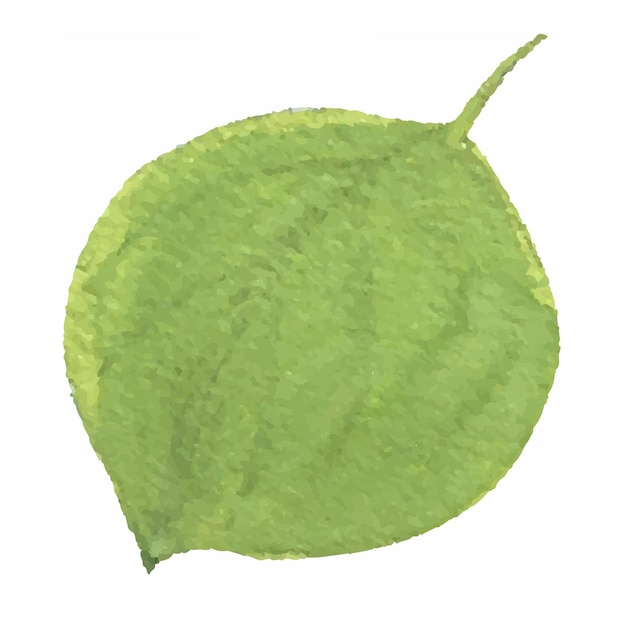 leaf