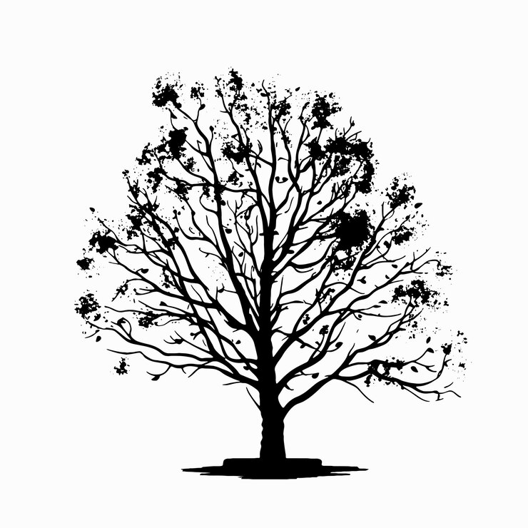 Vector leafless birch tree silhouette in black