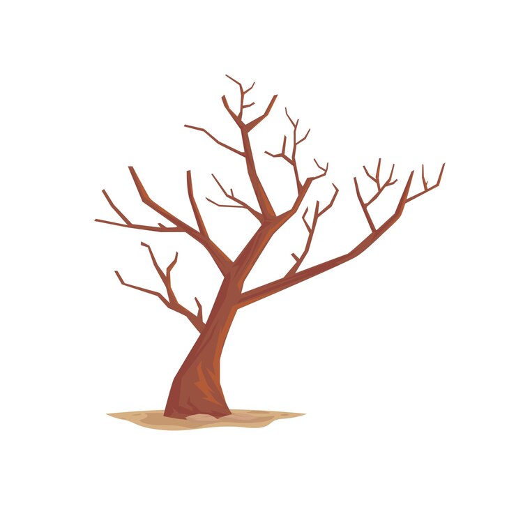 Vector leafless dry tree vector illustration isolated on white background
