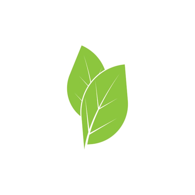 Vector leafs logo icoon vector illustratie sjabloon ontwerp