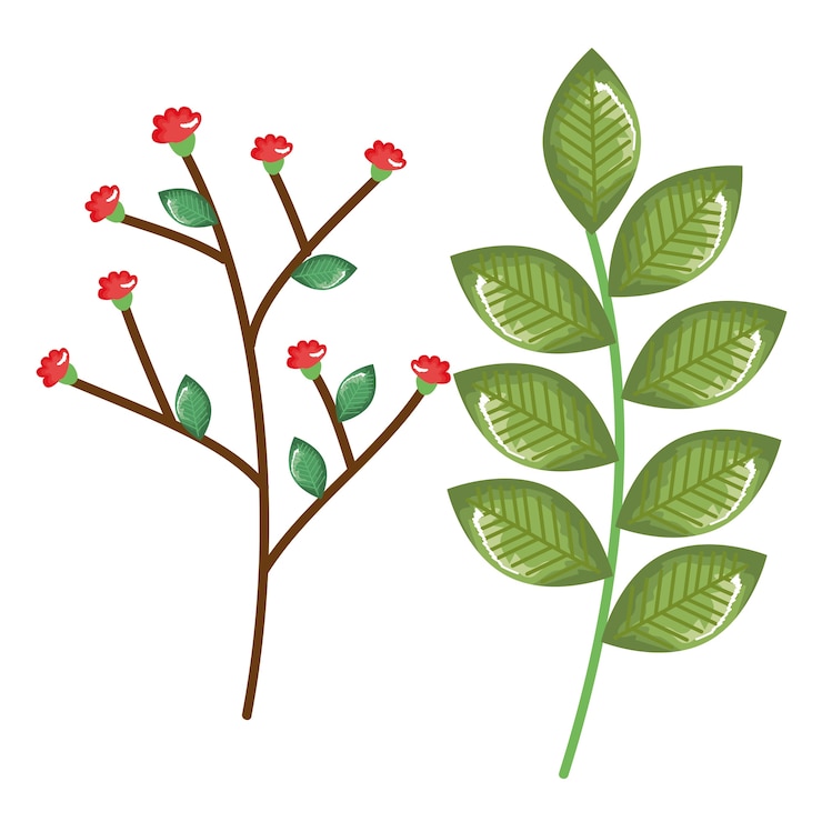 Vector leafs plant springtime decoration