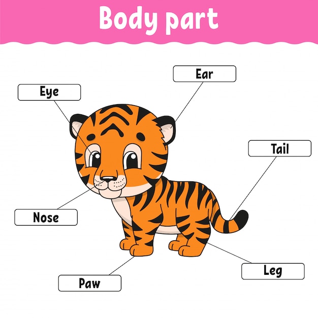 Learning body part names.