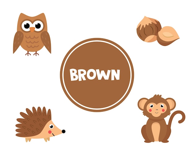 Learning colors for kids. Brown color. Different pictures in brown color. Educational worksheet for kids. Flashcards game for preschoolers.