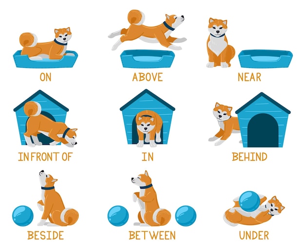 Premium Vector  Learning english prepositions with cute cartoon puppy dog.  cute akita dog above, behind, under, near dog bed or dog house illustration  set. english prepositions learning