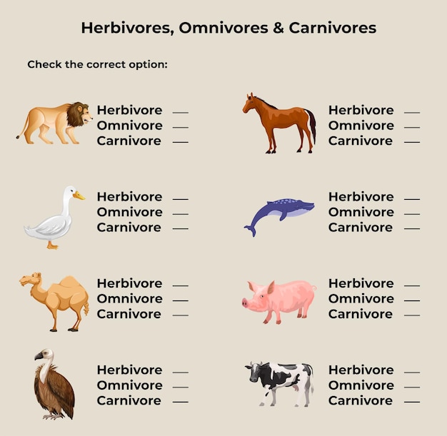 Learning herbivore omnivore and carnivore