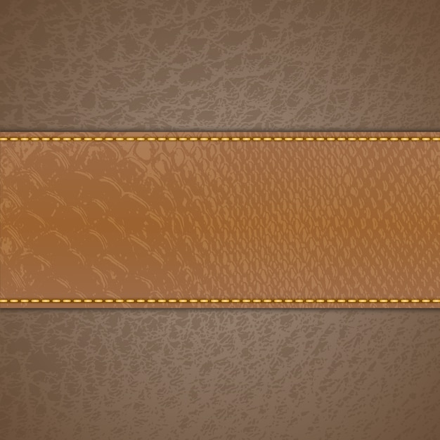 Vector leather background