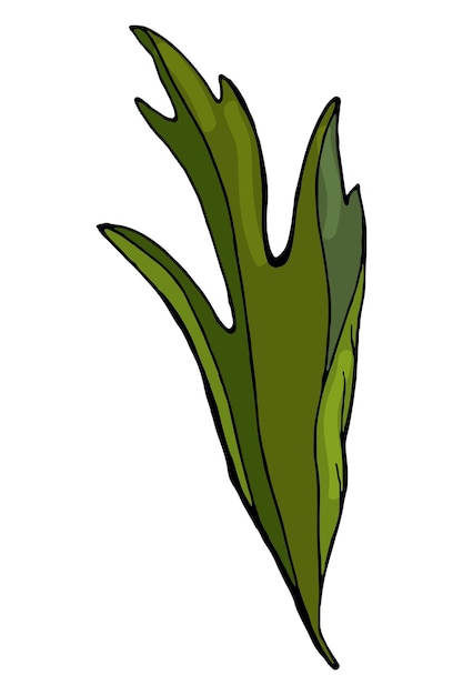 Foglie di anemone elementi botanici isolati su sfondo bianco le piante sono disegnate a mano a matita stile vintage design per cartoline abbigliamento logo modello stampa