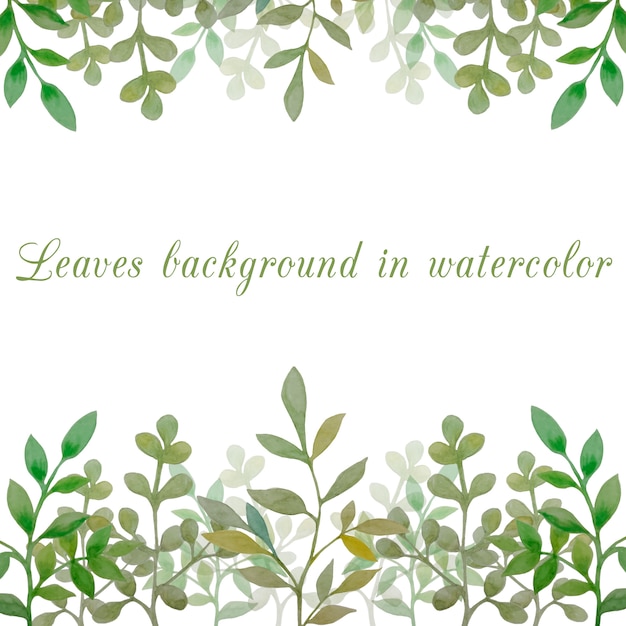 Leaves background in watercolor 