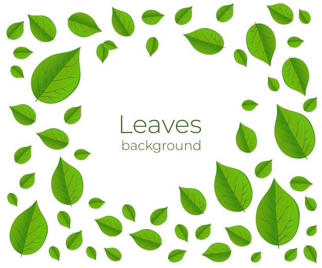 Leaves background