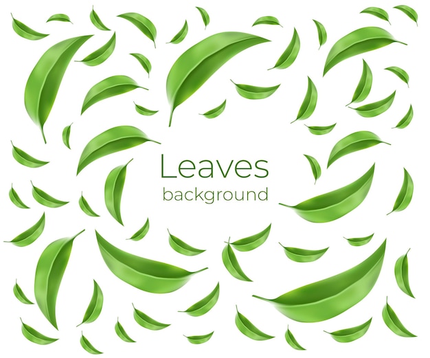 Leaves background