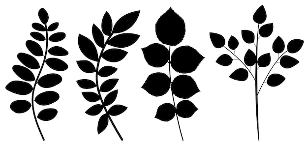 Leaves black silhouette on white background isolated vector