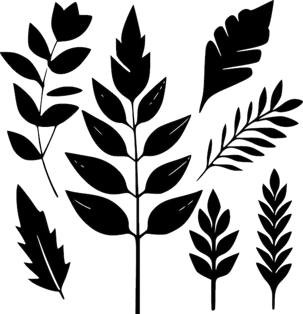 Leaves Black and White Vector illustration