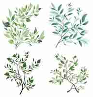 Vector leaves and branches imitation of watercolor isolated on white sketched wreath floral and herbs