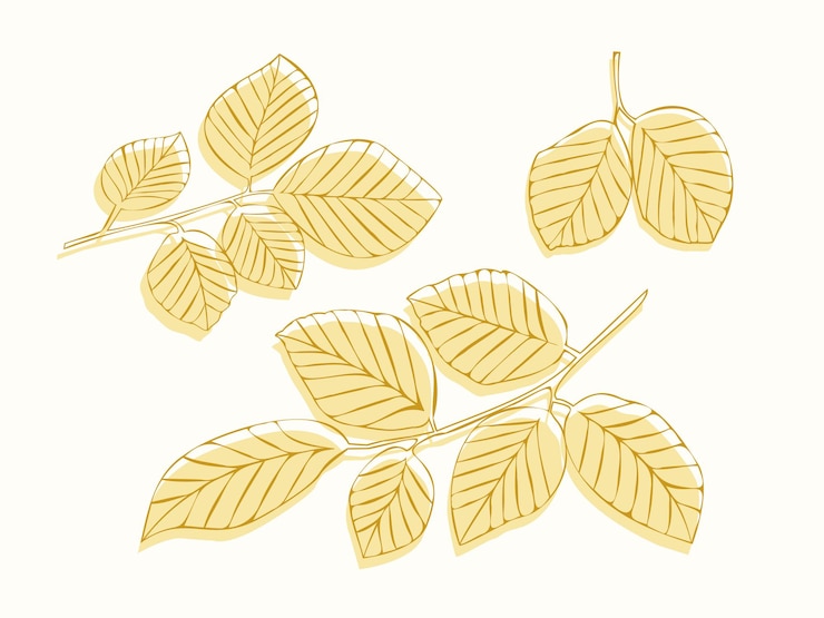 Vector leaves on branches rustic style vector nature autumn gold