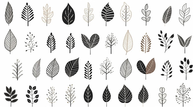 Leaves clipart vector background