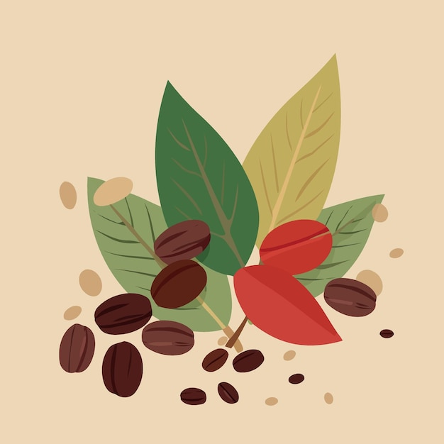Vector leaves and coffee beans