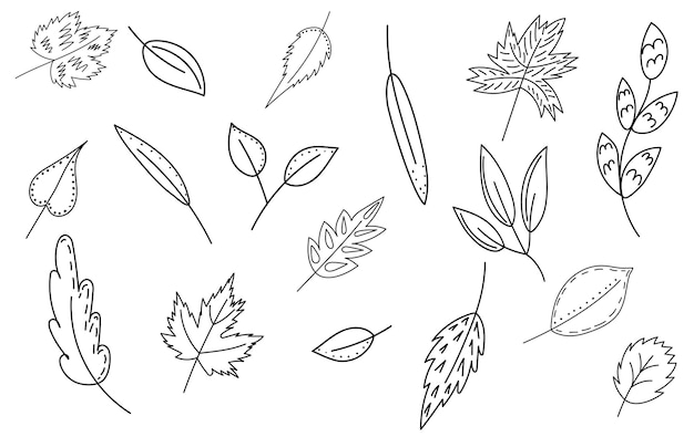 Leaves collection doodle outline sketch on white background