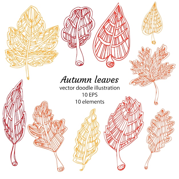 Leaves collection. hand drawn black line sketch isolated on white background.