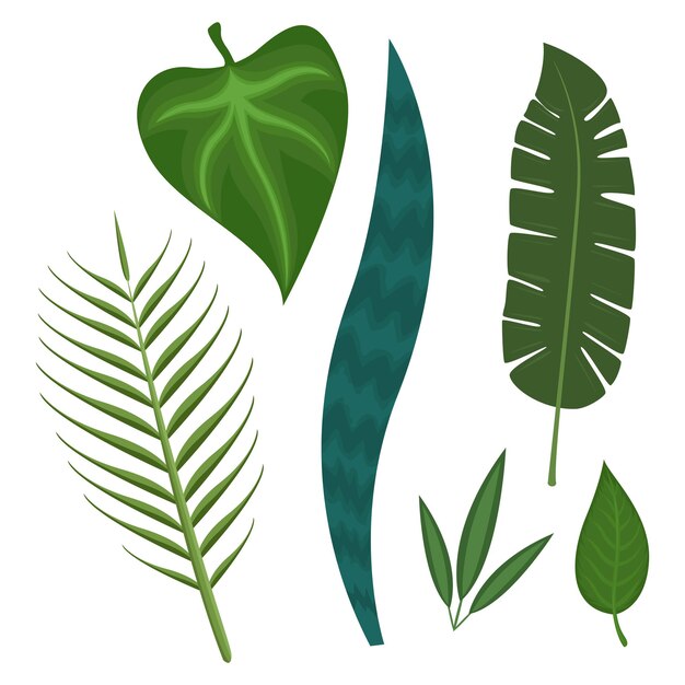 Leaves collection premium vector illustration