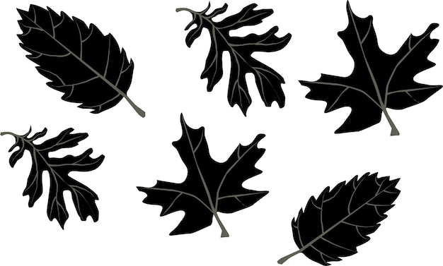 leaves design vector for print